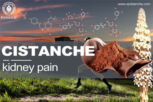 to prevent renal fibrosis and kidney pain