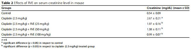 Table 2 Effects of RVE on serum creatinine level in mouse