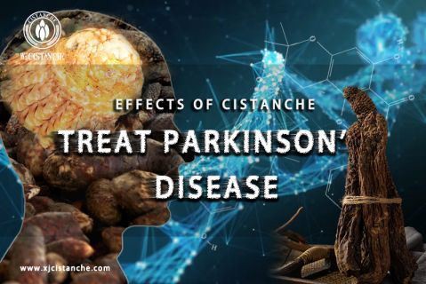 cistanche-neuroprotection7