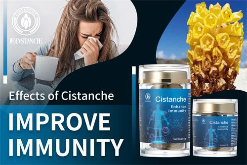 Polysaccharide, an element of Cistanche, helps improve immunity. Polysaccharide, an element of Cistanche, helps improve immunity.