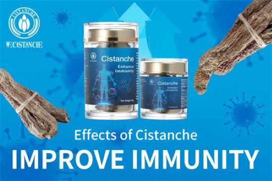 Cistanche polysaccharides regulate the function and metabolism of immune cells through multiple signal transduction pathways. Cistanche polysaccharides regulate the function and metabolism of immune cells through multiple signal transduction pathways.