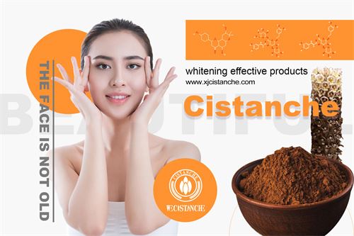 Cistanche can anti-aging and whiten skin