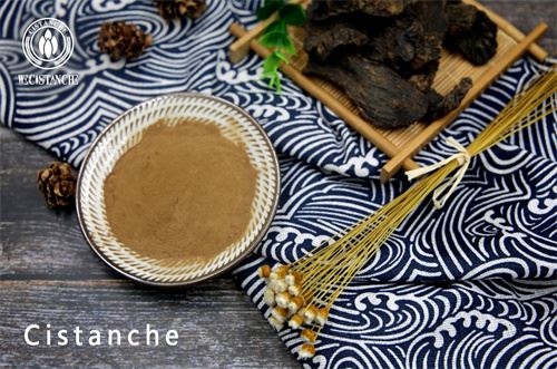 cistanche deserticola benefits