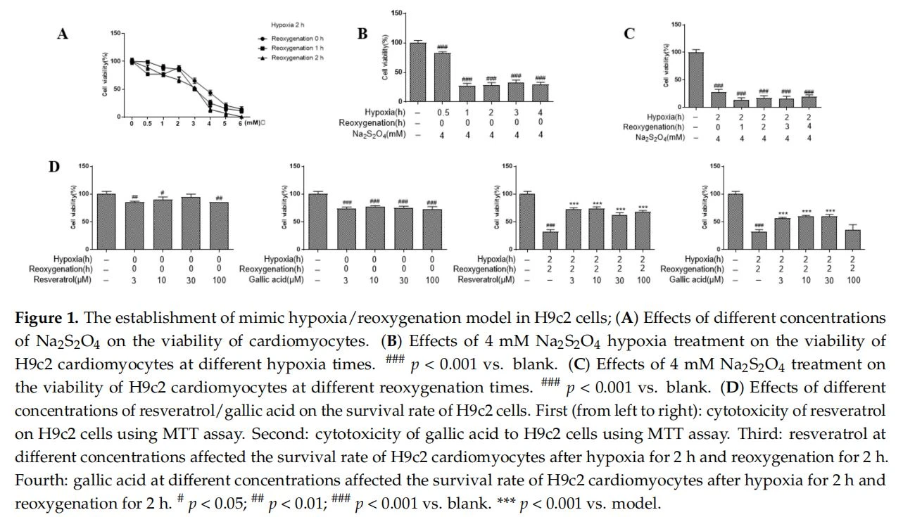The establishment of mimic hypoxia/reoxygenation model in H9c2 cells; The establishment of mimic hypoxia/reoxygenation model in H9c2 cells;