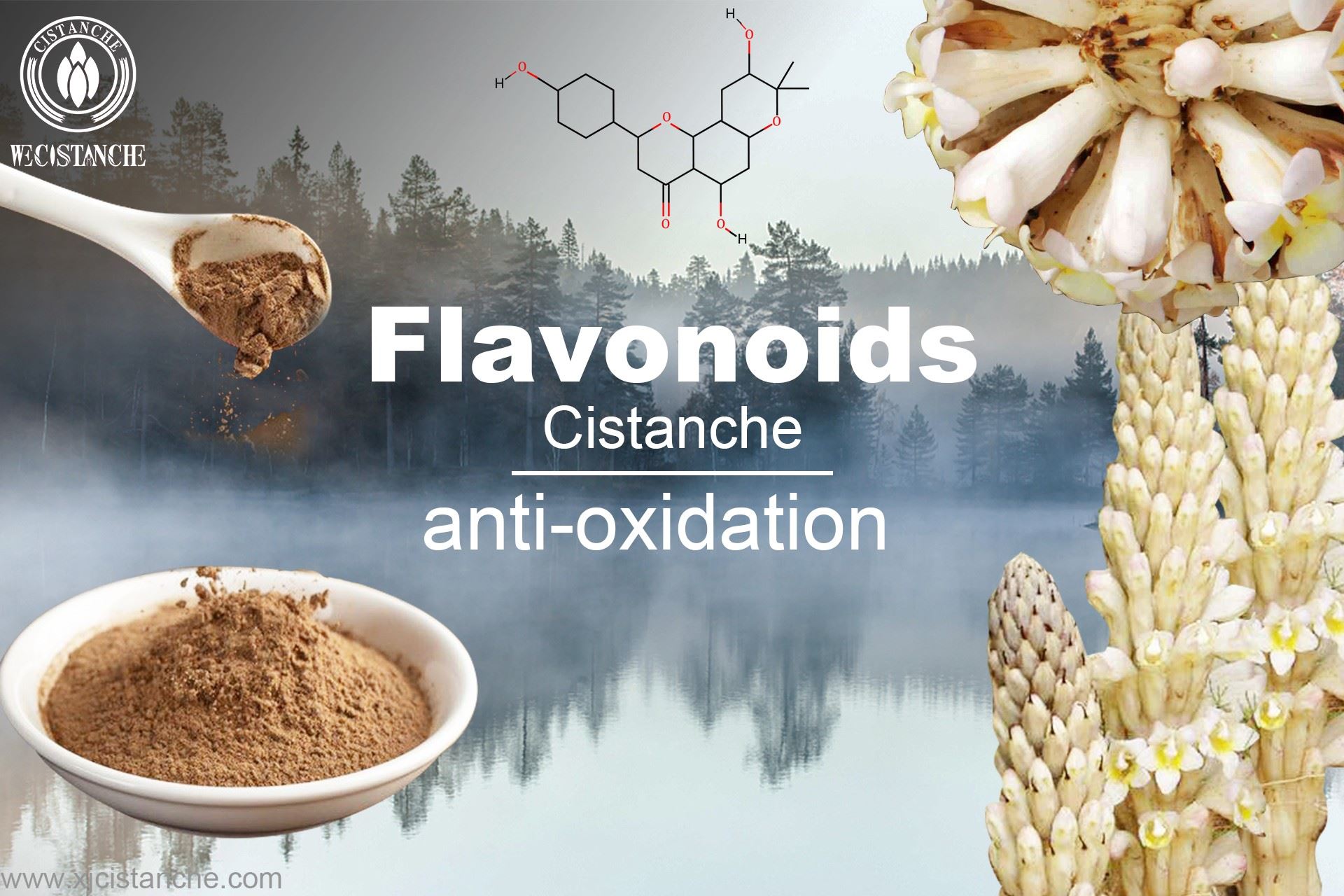 the best herb for anti oxidation