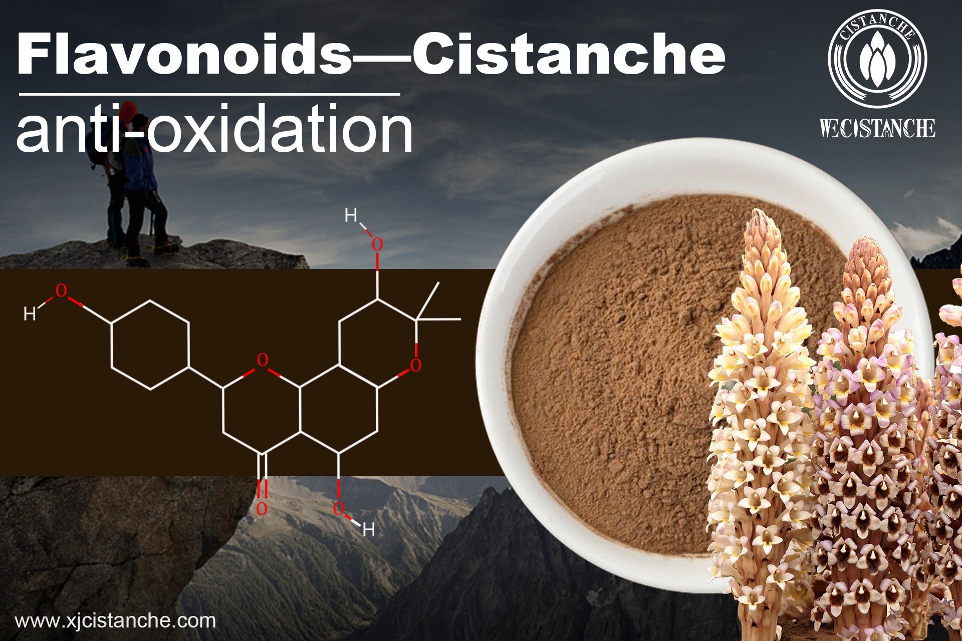 best herb for antioxidant