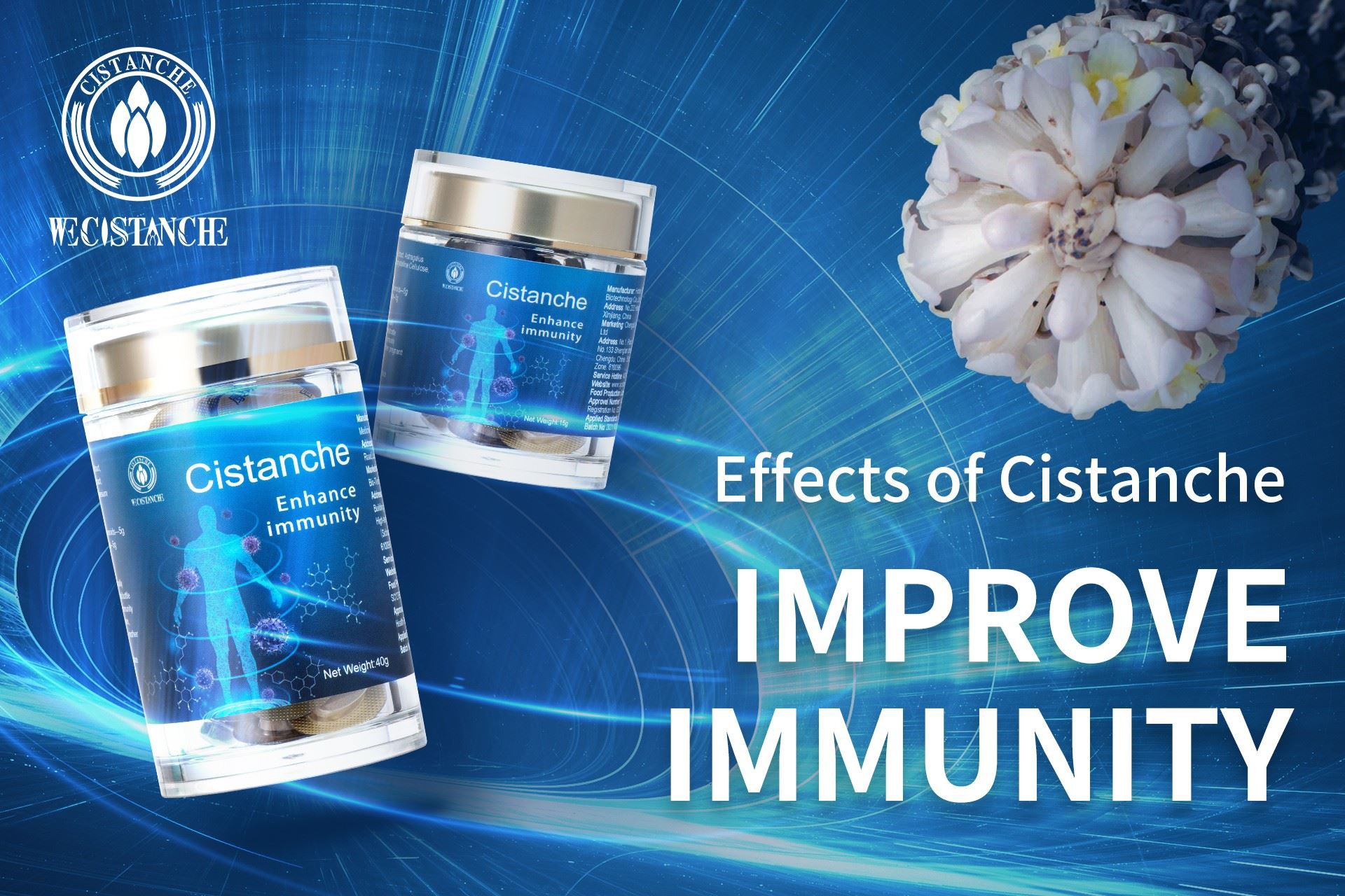 best herb for immunity best herb for immunity
