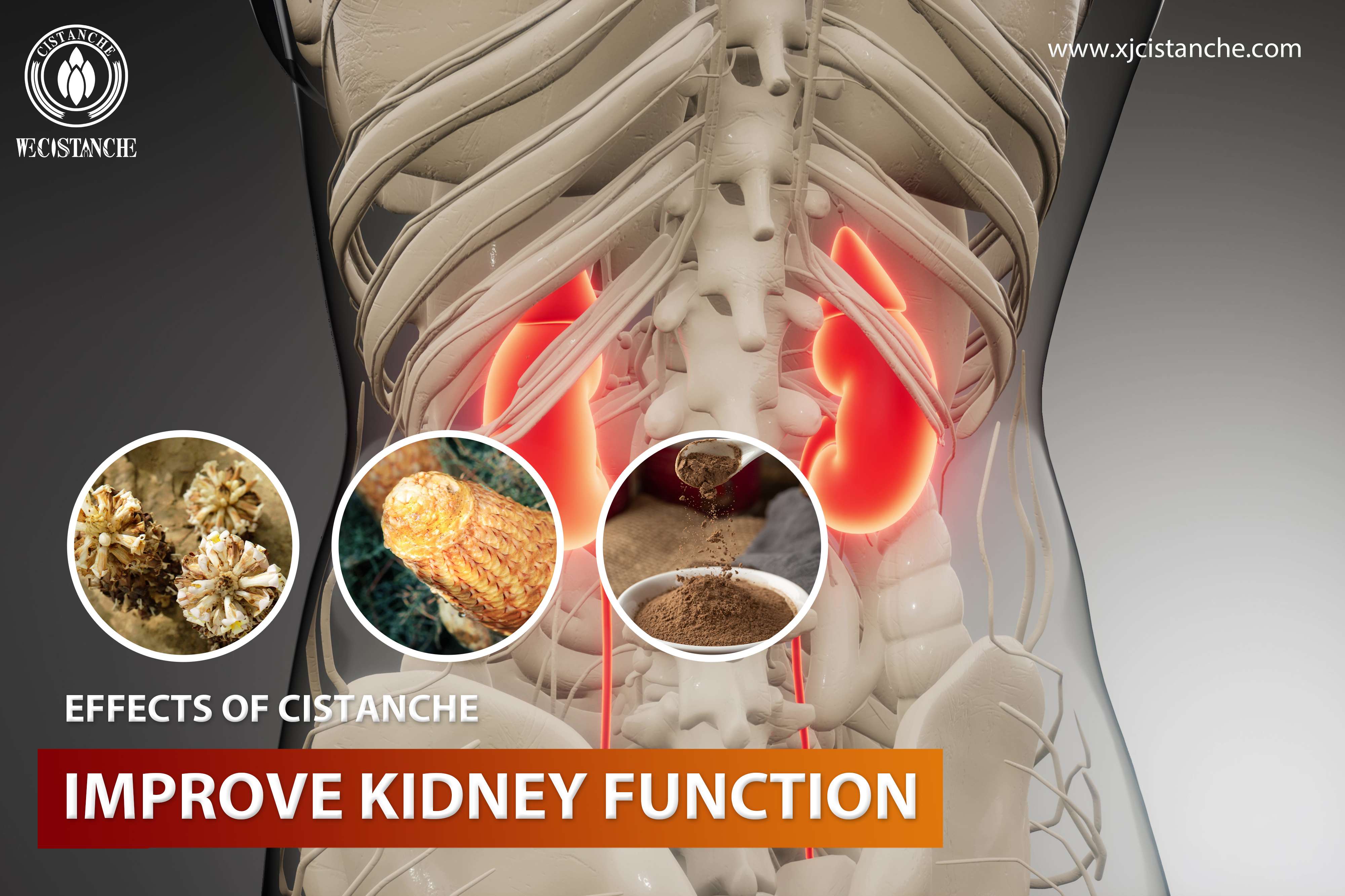 natural herb for kidney function