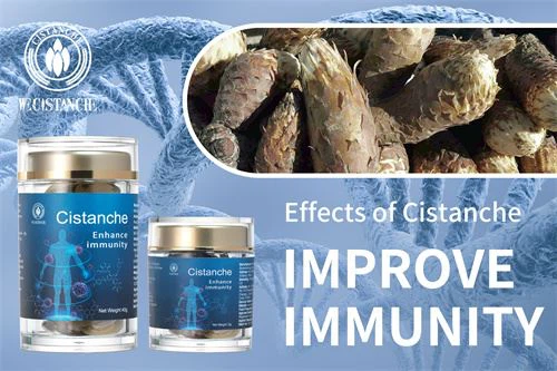 cistanche bodybuilding on immunity