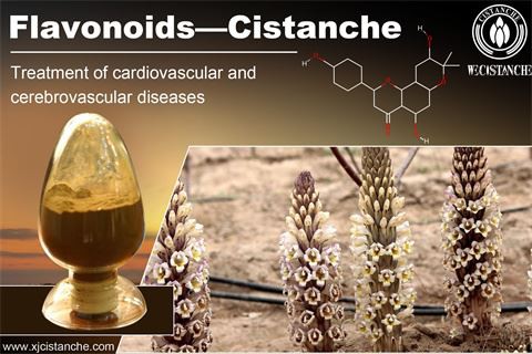 cistanche tubolosa health benefits cistanche tubolosa health benefits