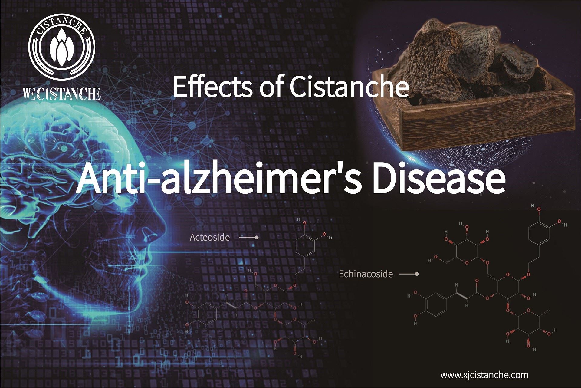 the best herb for anti alzheimer's disease