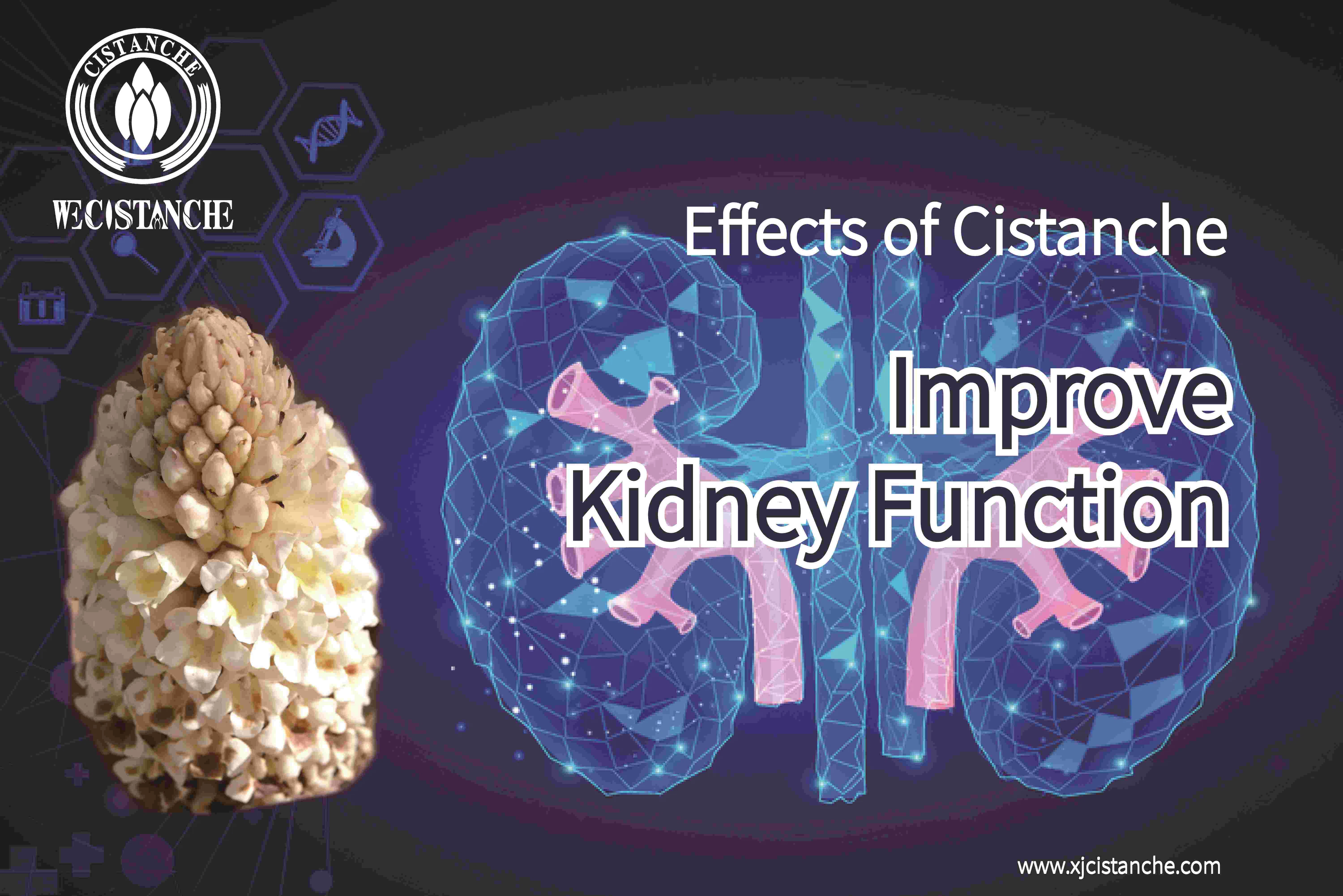 how to treat kidney disease