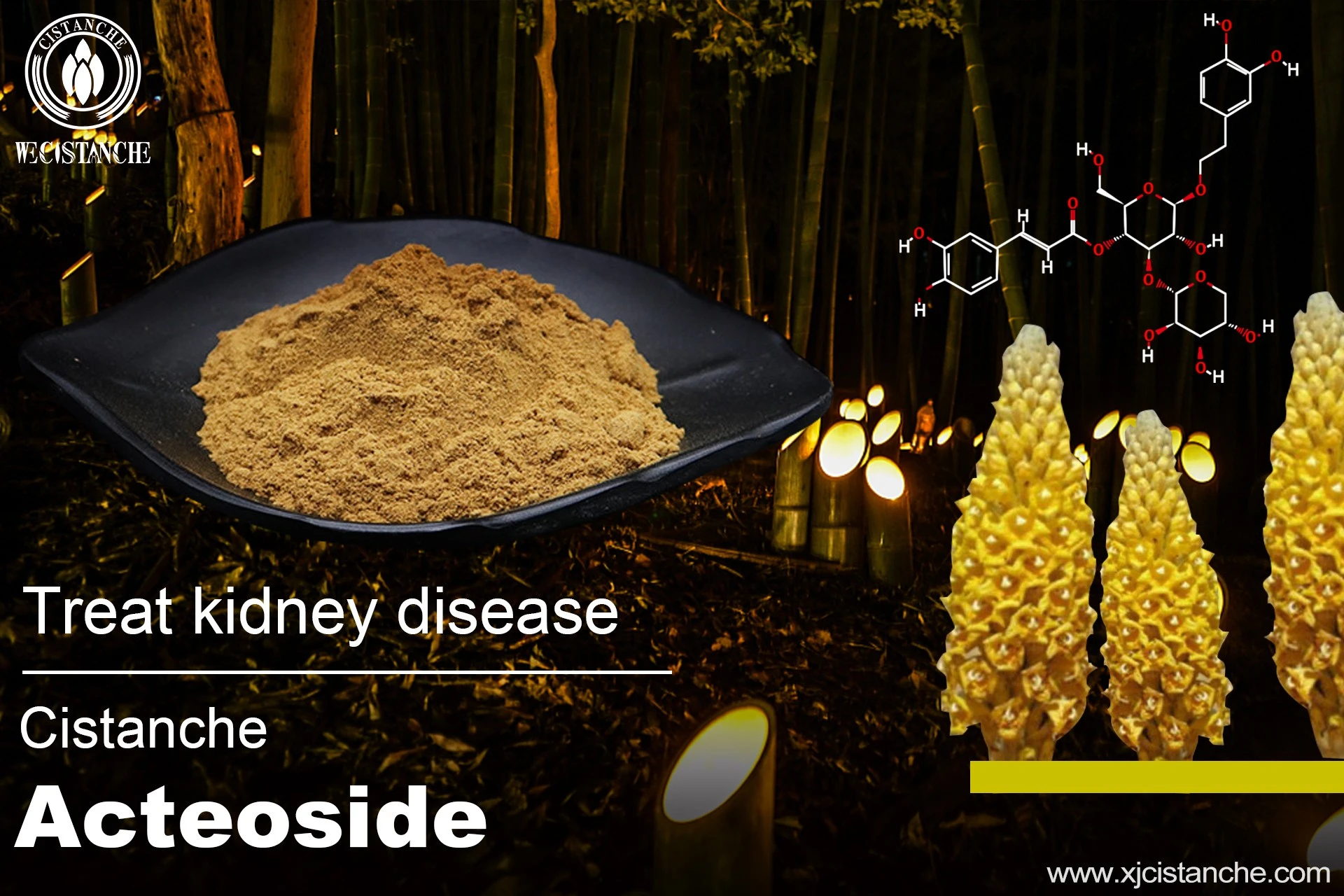 how to prevent kidney disease how to prevent kidney disease