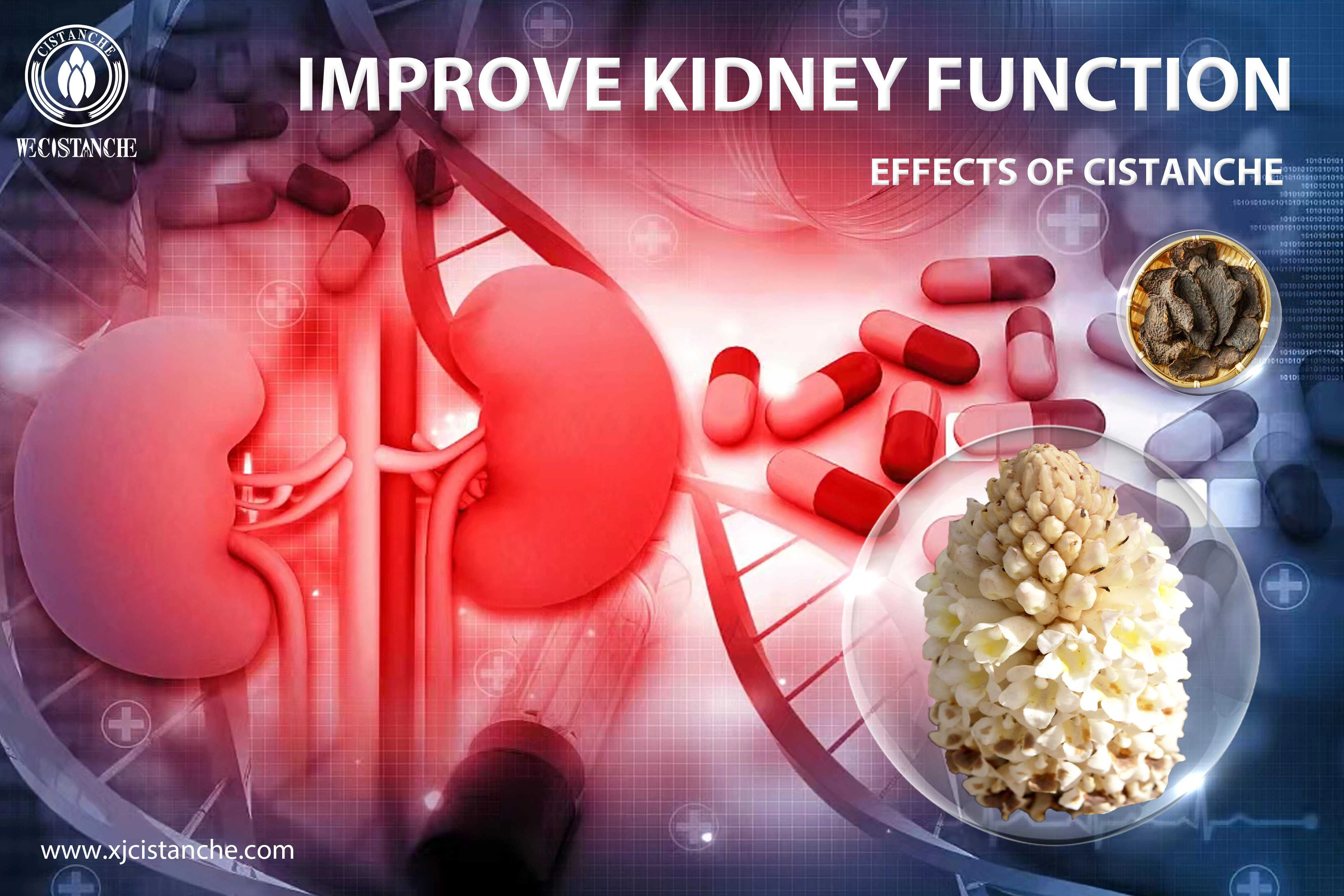 treatment of kidney disease