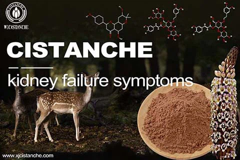 Best Chinese Medicinal Herbs for Lower High Pressure