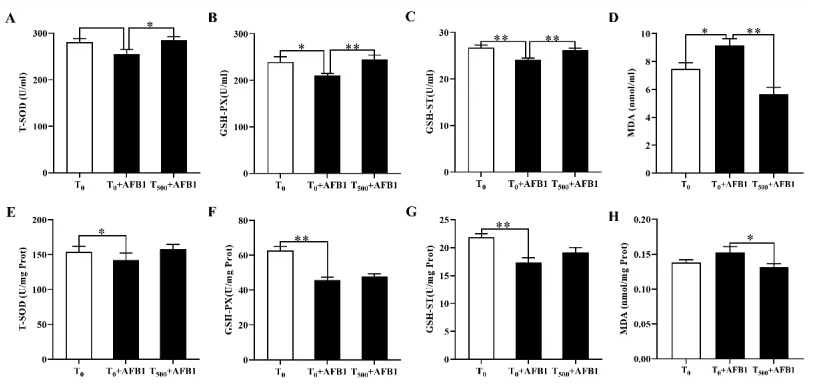 cistanche Alleviated Acute Ileum Damage
