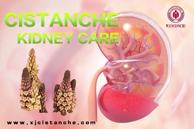 Cistanche benefits