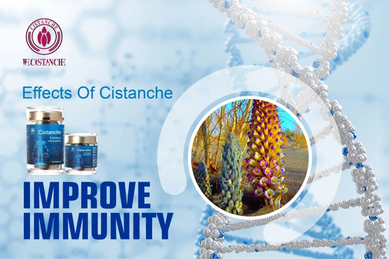 cistanche vitamin shoppe cistanche vitamin shoppe