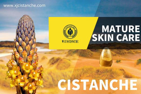 anti-oxidation cistanche