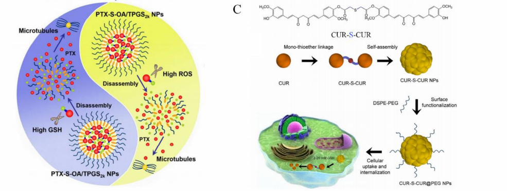 anticancer drug