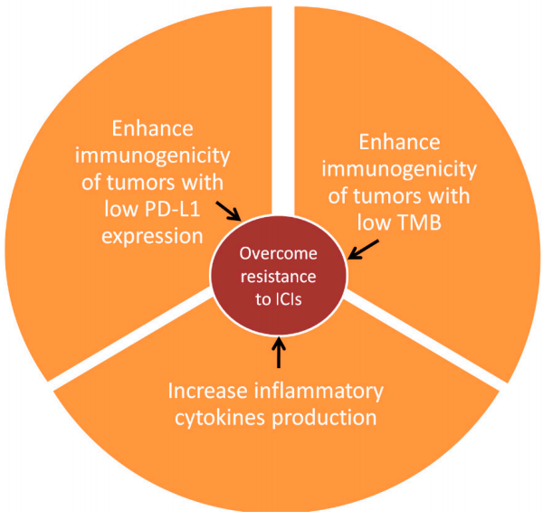 Figure 1. Schematic representation of mRNA vaccine interaction with the immune system, aiming to enhance immune checkpoint immunotherapy. TMB: Tumor mutational burden, ICIs: Immune checkpoint inhibitors.