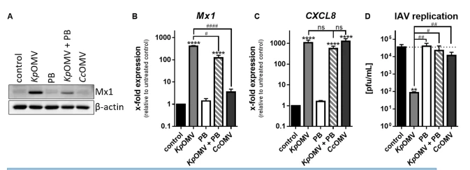 Fig. 6 Fig. 6
