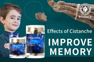 improve your memory