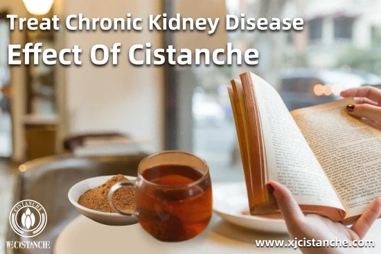 CISTANCHE TO WORK FOR KIDNEY DISEASE PATIENTS