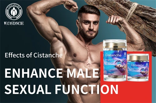 cistanche tubulosa for enhancing sexual function cistanche tubulosa for enhancing sexual function