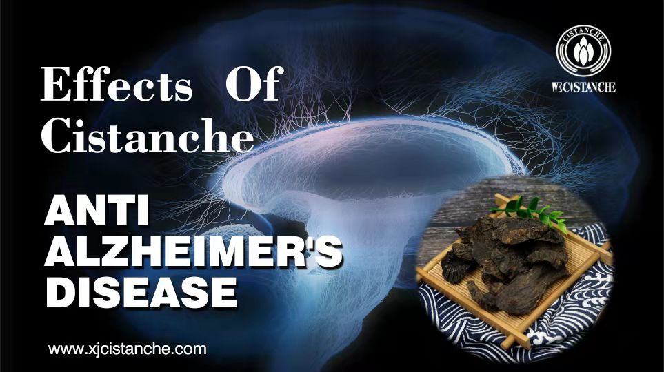 Cistanche tubulosa for preventing neurodegenerative diseases Cistanche tubulosa for preventing neurodegenerative diseases