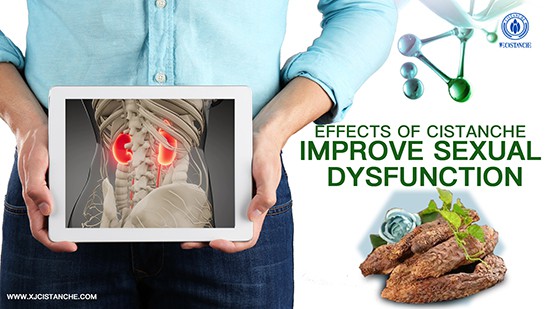 effects of cistanche-improve kidney function (7) effects of cistanche-improve kidney function (7)