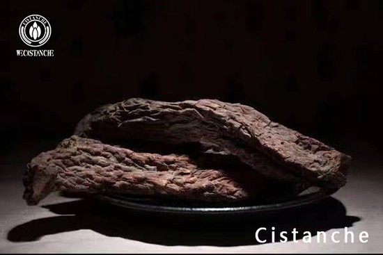 Cistanche deserticola slice (12) Cistanche deserticola slice (12)