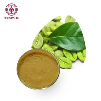 Green Coffee Bean Extrait Powder