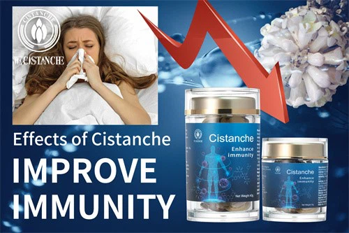 Desert ginseng-Improve immunity 8 Desert ginseng-Improve immunity 8