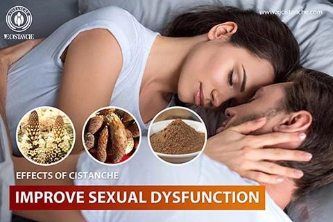 New Heral Cistanche Supplements For Erectile Dysfunction (ed) Treatment New Heral Cistanche Supplements For Erectile Dysfunction (ed) Treatment